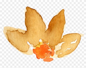 Free Fall Watercolor Floral Clip Art- So Pretty - Maple Leaf