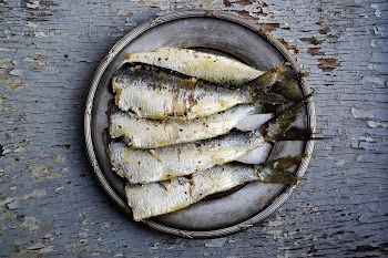 Free fresh fishes image, public | Free Photo - rawpixel