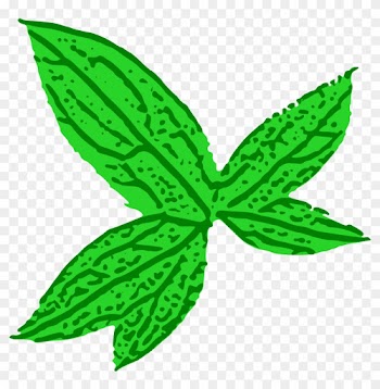 Free Green Leaf - Green Leaf Clip Art