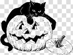 Free Halloween shop Brushes Plus Cutouts, black cat illustration transparent background PNG clipart