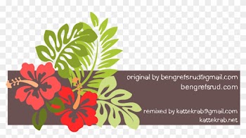 Free Hawaiian Clip Art Pictures - Hawaiian Clip Art Borders