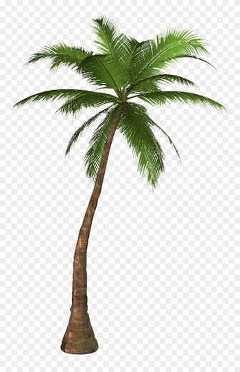 Free High Resolution Graphics And Clip Art - Palm Tree Png