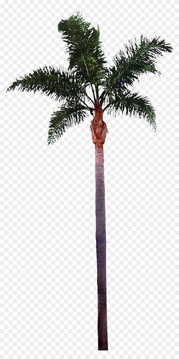 Free Icons Png - Palm Tree Cutout Png