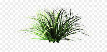 Free Icons Png - Small Patches Of Grass