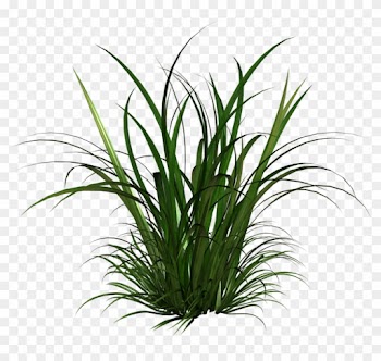 Free Icons Png - Tall Grass Clipart