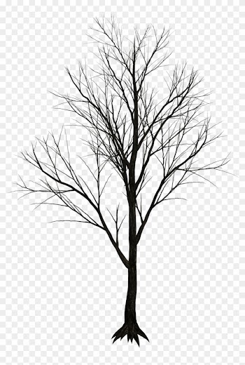 Free Illustrations On Pixabay - Dry Tree Png