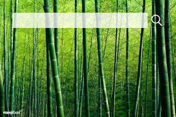 Free image by rawpixel.com | Free stock photo - 867151