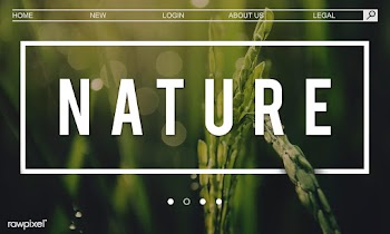 Free image by rawpixel.com | Free stock photo - 881410