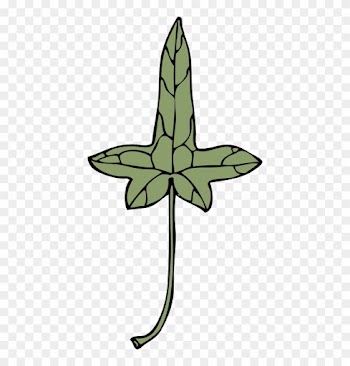 Free Ivy Leaf 9 - Clip Art
