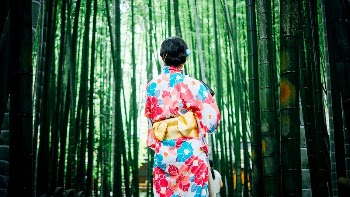 Free Japanese woman in bamboo | Free Photo - rawpixel