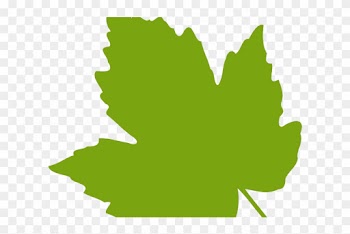 Free Leaf Cliparts - Green Leaf Clip Art