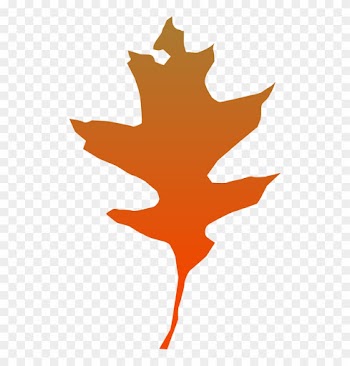 Free Leaf Oak - ใบ โอ๊ ค