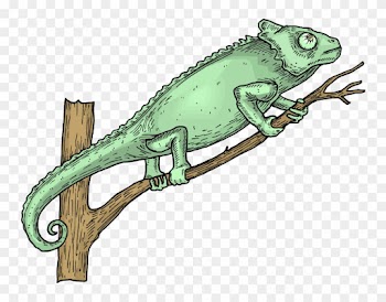 Free Lizard Clipart - Iguana On The Tree Clipart
