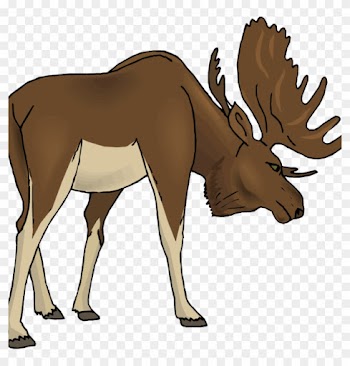 Free Moose Clipart Moose Clipart Cartoon Free Clipart - Free Clipart Moose