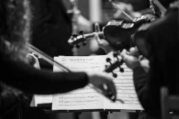 Free musician playing violin image, | Free Photo - rawpixel