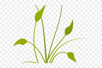 Free Nature Clipart - Free Nature Clipart