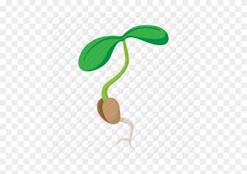 Free Nature Icons - Semilla Germinada Dibujo
