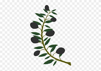 Free Olive Branch Black Olive - Olive Tree Branch Clipart