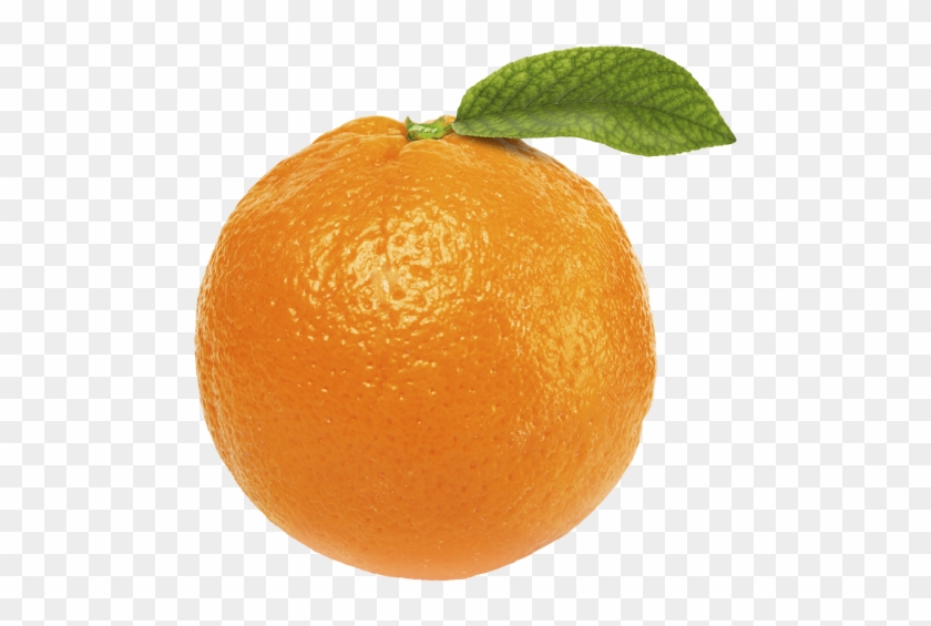 Free Orange Fruit Png - Orange With No Background