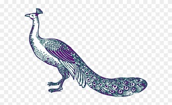 Free Peacock Clipart - Wedding Peacock Clip Art