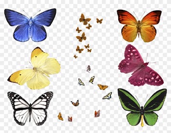 Free Photo Butterfly Overlays, Realistic Natural Flying - Butterfly Png For Photoshop