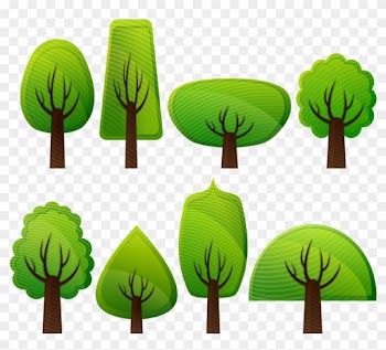 Free Photo Forest Deciduous Trees Trees Broad Leafed - Simple Tree Vector Png
