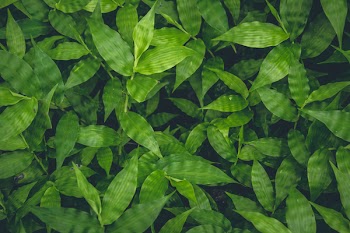 Free Photo of above, aerial, background