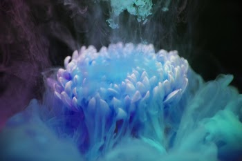 Free Photo of abstract, acrylic, aquatic