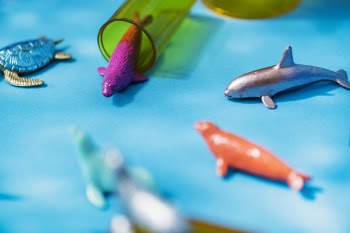 Free Photo of abstract, animal, background