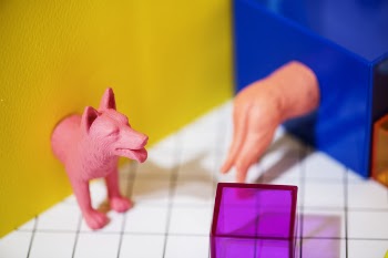 Free Photo of abstract, animal, background