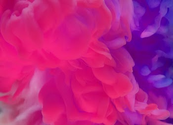 Free Photo of abstract, aquatic, art