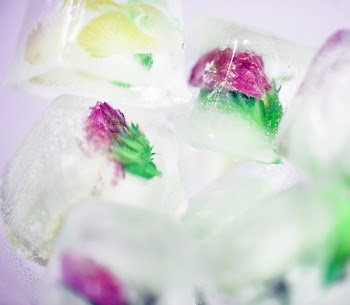 Free Photo of abstract, background, beautiful