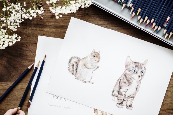 Free Photo of adorable, animal, art