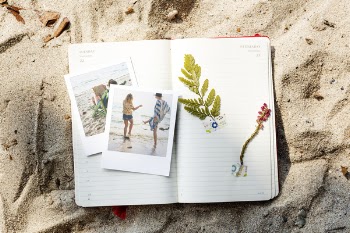Free Photo of adventure, beach, coast