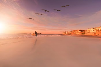 Free Photo of adventure, guy, trip