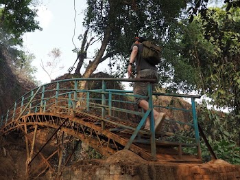 Free Photo of Adventure, Jungle, Outdoor Adventure