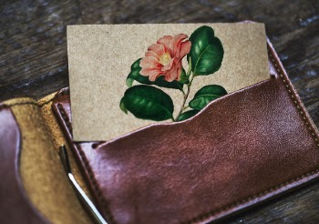 Free Photo of aerial, antique, card