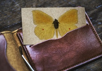 Free Photo of aerial, antique, card