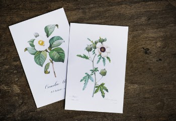 Free Photo of aerial, artwork, card