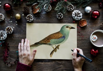 Free Photo of aerial, background, card