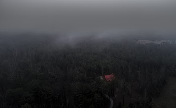 Free Photo of aerial, fog, forest