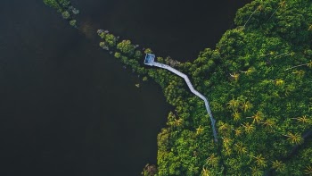 Free Photo of aerial, view, bridge