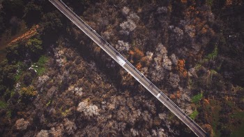 Free Photo of aerial, view, road