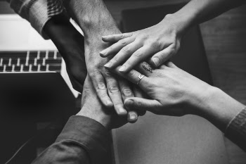 Free Photo of agreement, arms, black and white