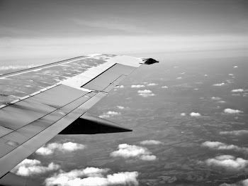 Free Photo of airplane, wing, flying