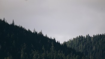 Free Photo of Alaska, Mountain range, mountains