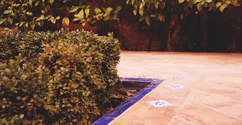 Free Photo of AlcÃ¡zar of Seville, walkway, path