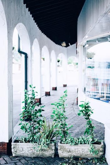 Free Photo of alley, arches, architecture