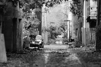 Free Photo of alley, street, fences