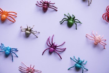 Free Photo of animal, artificial, bug